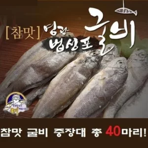 가성비 최강 참맛 굴비 중장대 40마리 종합 리뷰 TOP6