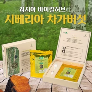 가성비 최강 차가버섯 완전 분석